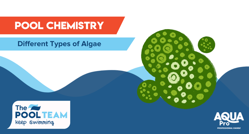 Different types of Algae