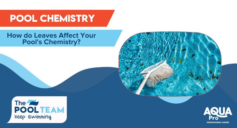 How do Leaves Affect Your Pool's Chemistry?