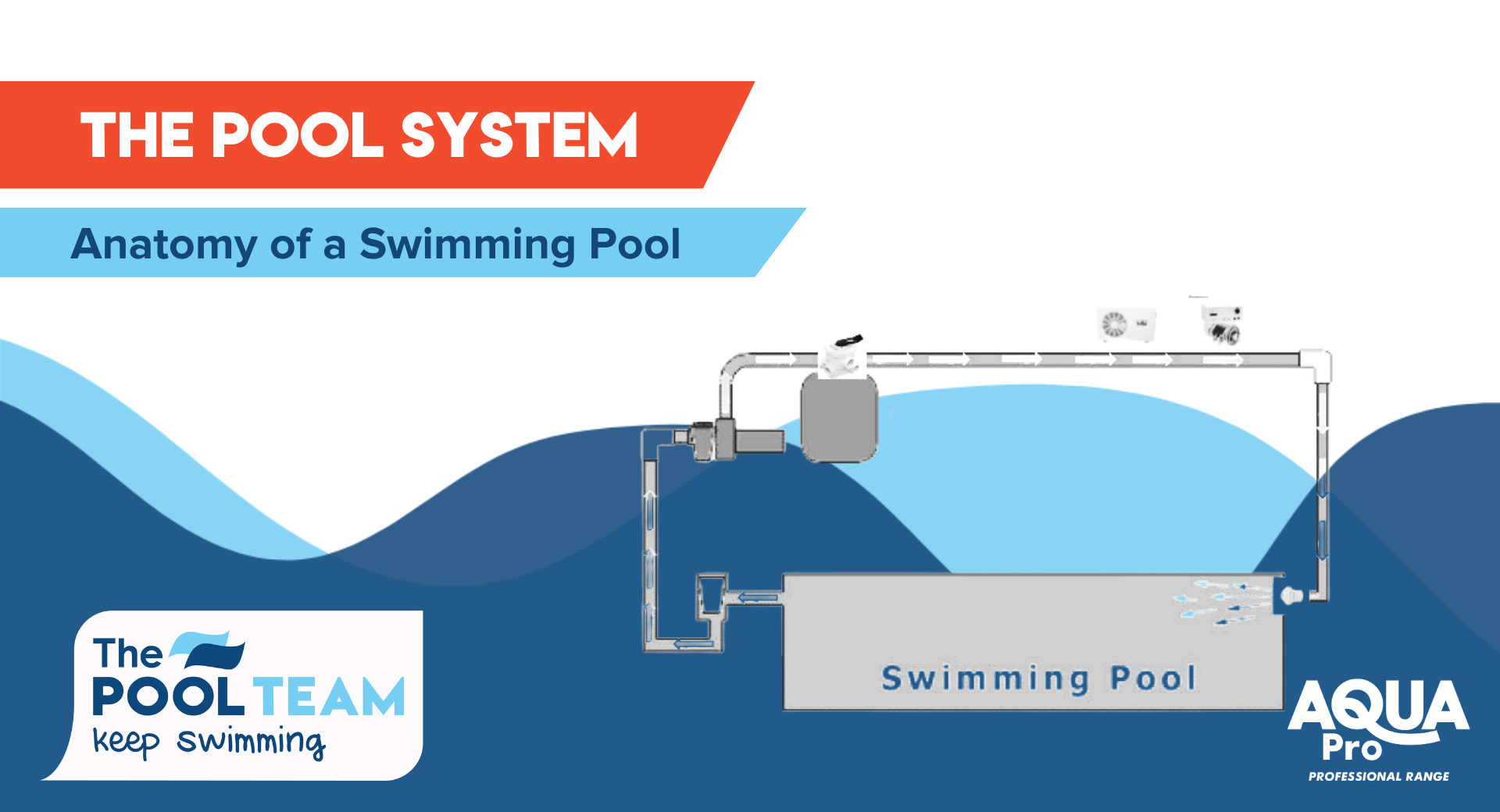 Anatomy of a Swimming Pool