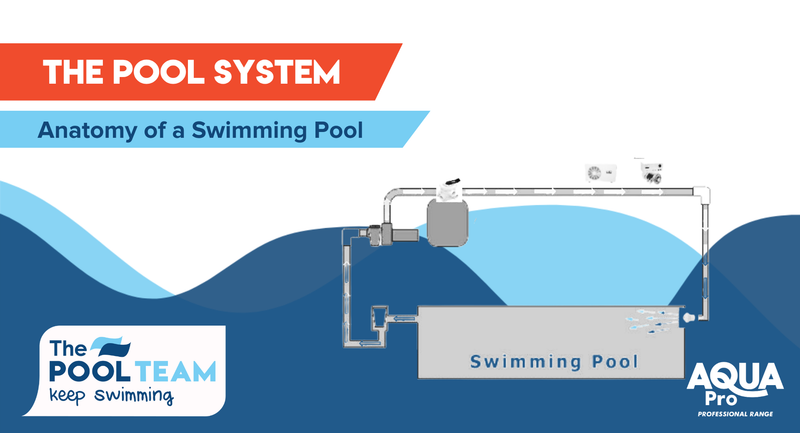 Anatomy of a Swimming Pool