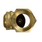 Brass flapper check valve 50mm with hexagonal body, threaded inlet and visible black disc flapper internally mounted