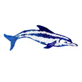 Aqua Pro Dolphin Cloth Mosaic Large, blue and white illustrated dolphin graphic on white background