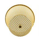 Weir basket beige plastic cylindrical pool skimmer with diamond lattice perforations and centre drain hole, viewed from below