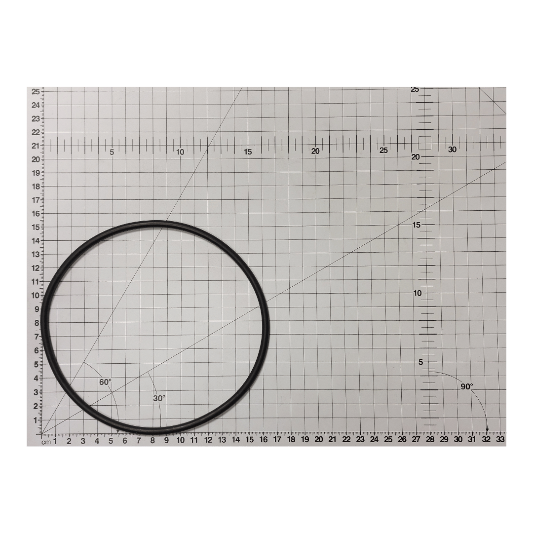 Black rubber O-ring for Quality Swimflo 2 pump lid, approximately 14cm diameter, shown on a centimetre grid mat