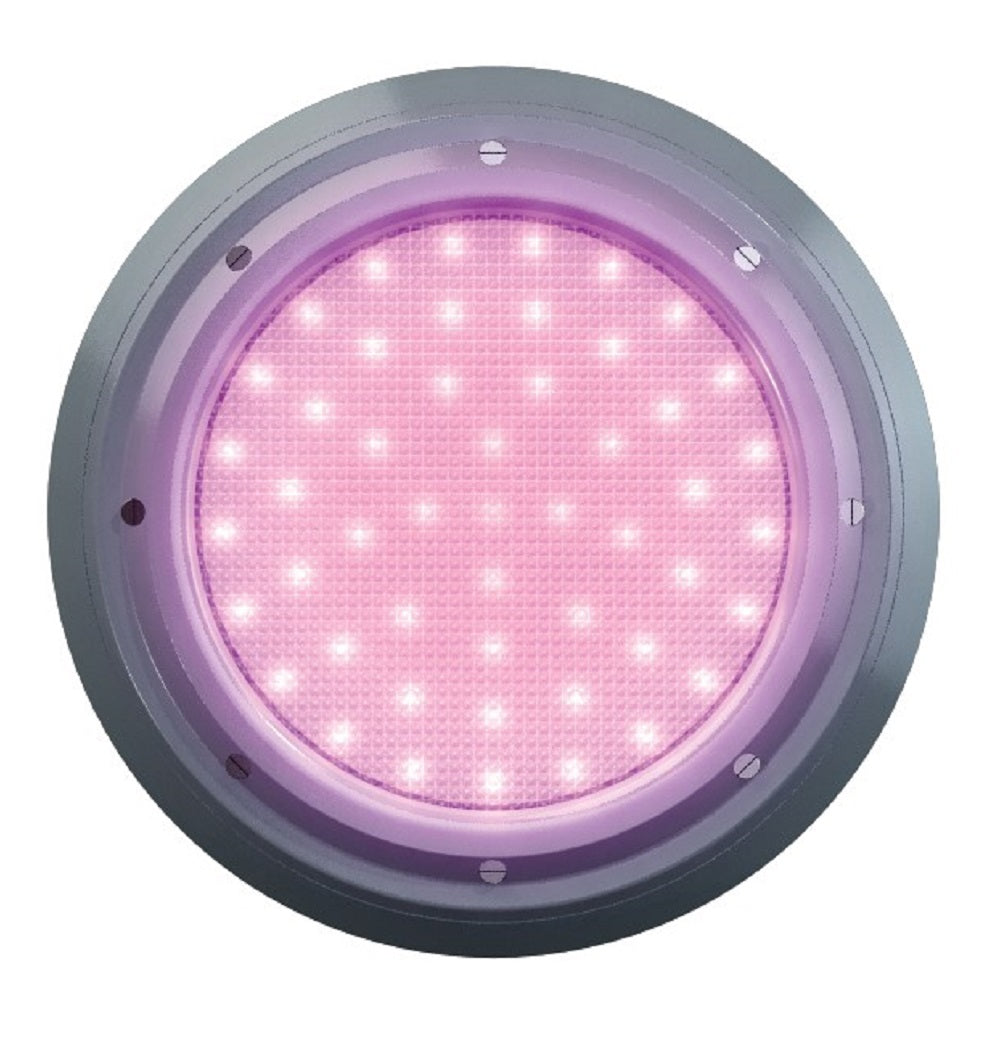 Round LED pool light with silver stainless steel bezel emitting pink-purple colour-changing glow, multi-point screw fixing, retro fit design