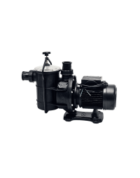 EartheCo 1.1kW Pump And Motor