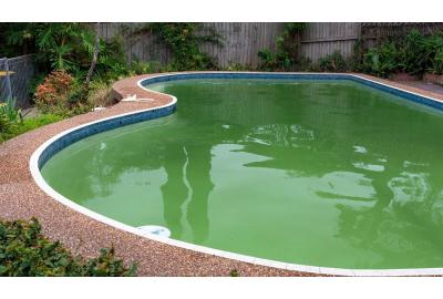 How to Fix a Green Salt Water Pool