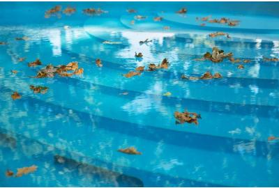 How do Leaves Affect Your Pool's Chemistry?