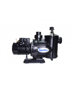 Quality 0.6kW Pump And Motor Superflo 2